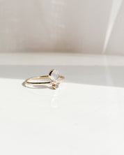 TERRA// Roman goddess of the earth