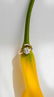 THE ICONS // EMERALD